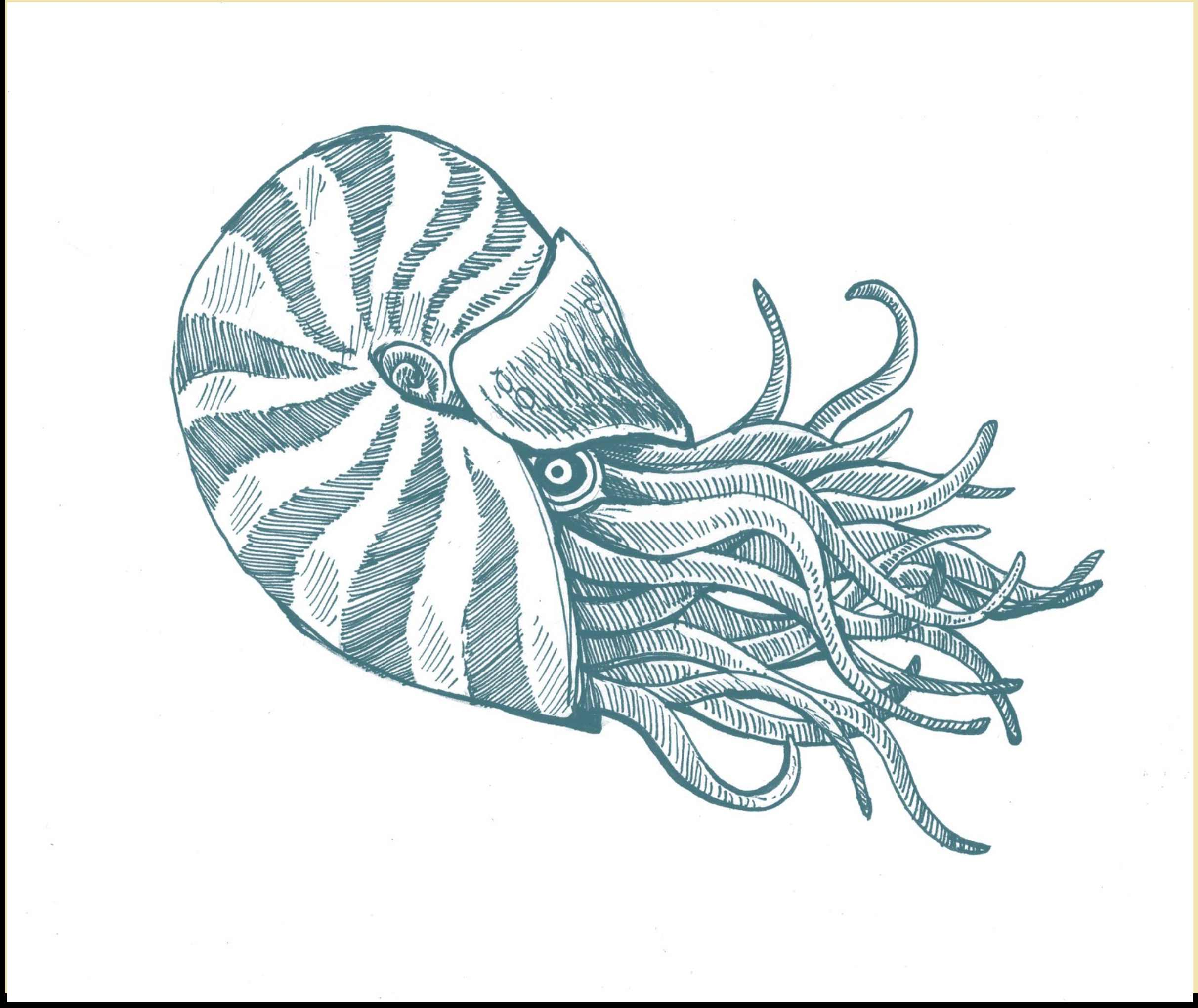 How To Draw Deep Sea Animals Animal Collections: Butter Living: 10