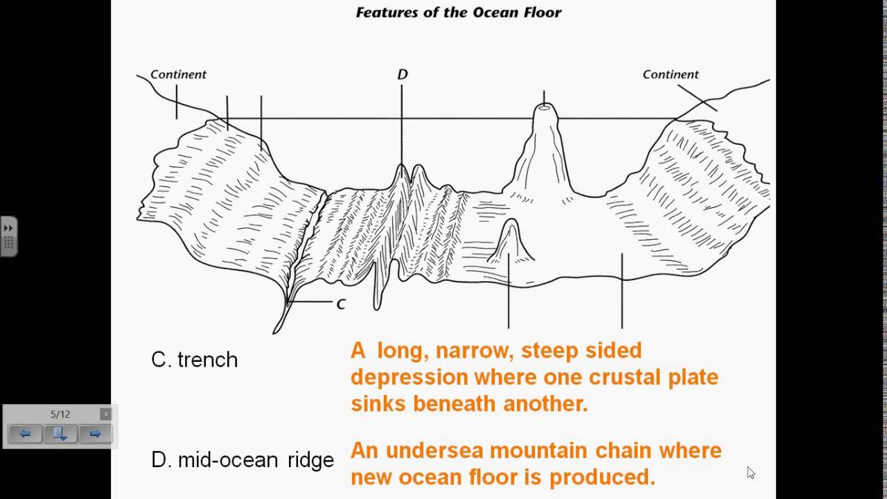 Sea Floor Drawing at GetDrawings | Free download