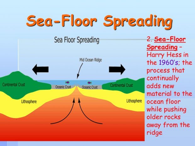 Sea Floor Drawing At Getdrawings Free Download