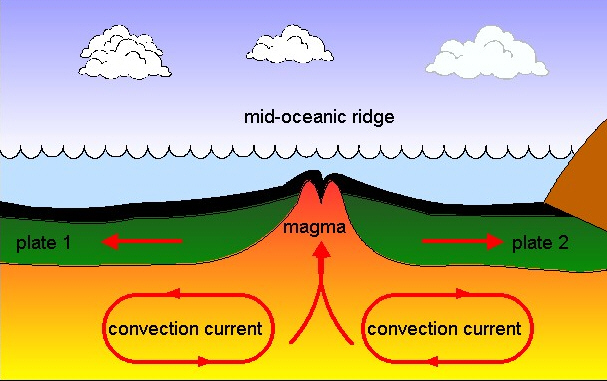 The Best Free Seafloor Drawing Images Download From 5 Free