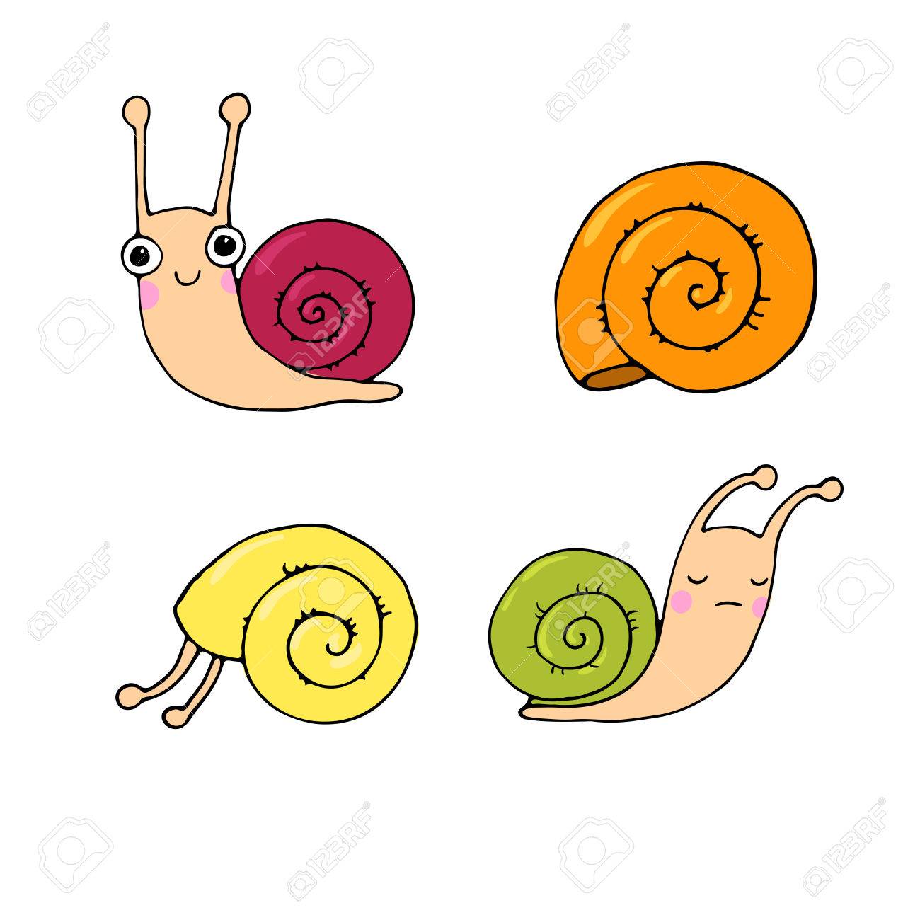 Sea Snail Drawing at GetDrawings Free download