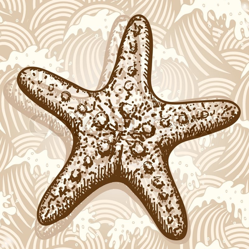 Sea Star Drawing at GetDrawings Free download