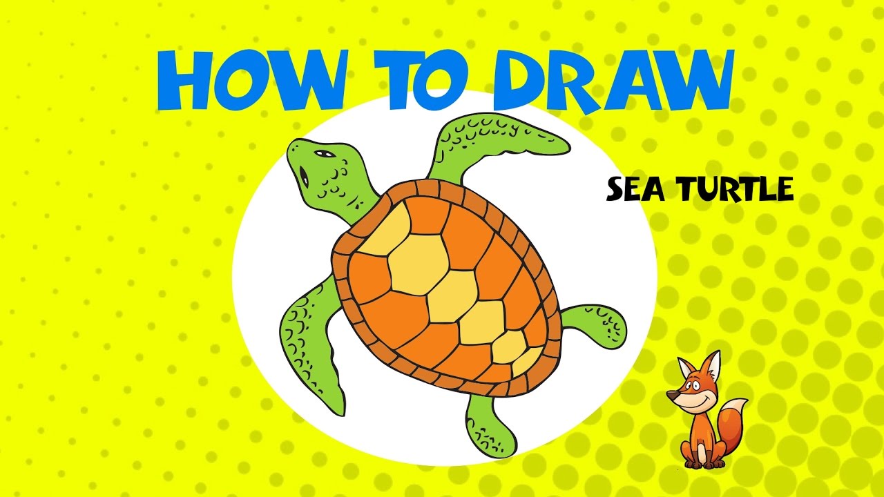 Sea Turtle Drawing Tutorial at GetDrawings | Free download
