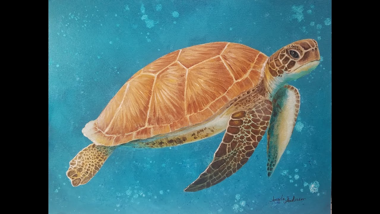 sea-turtle-drawing-tutorial-at-getdrawings-free-download