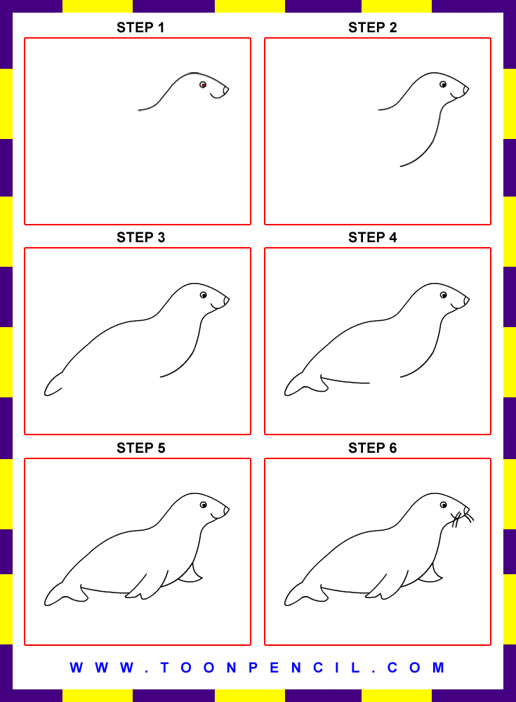 Seal Drawing Step By Step at GetDrawings Free download