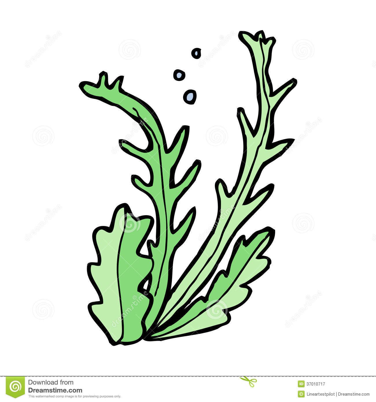 Seaweed Underwater Drawing At Getdrawings 