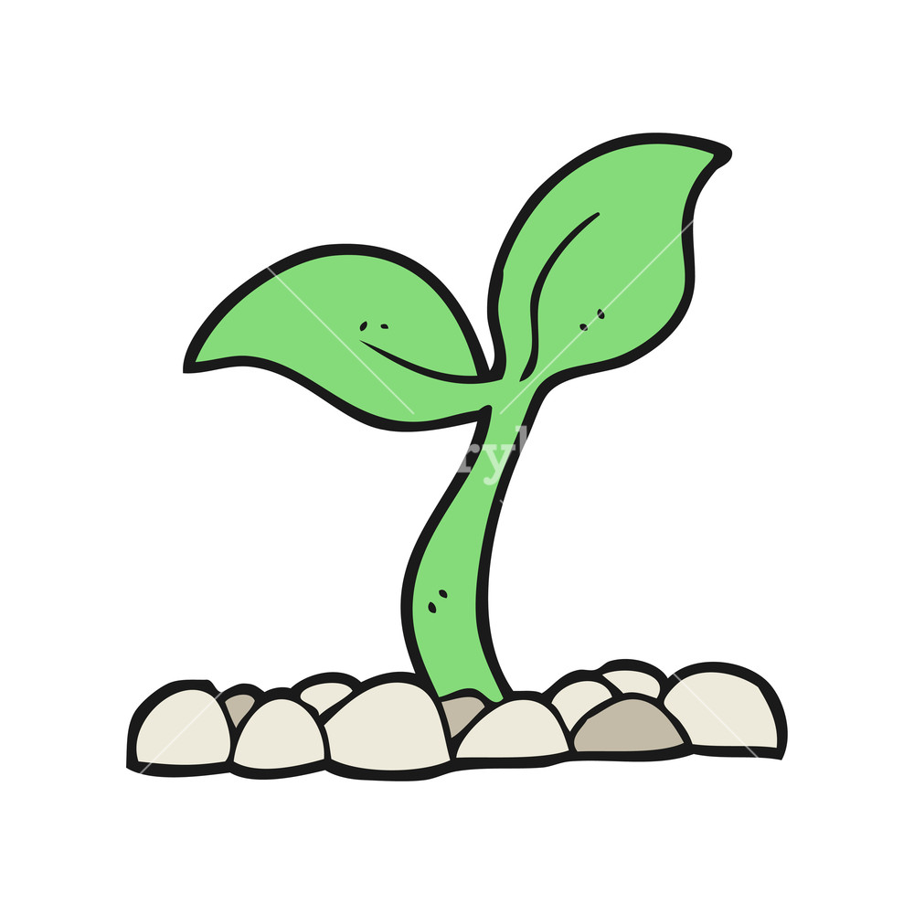 Seedling Drawing at GetDrawings Free download