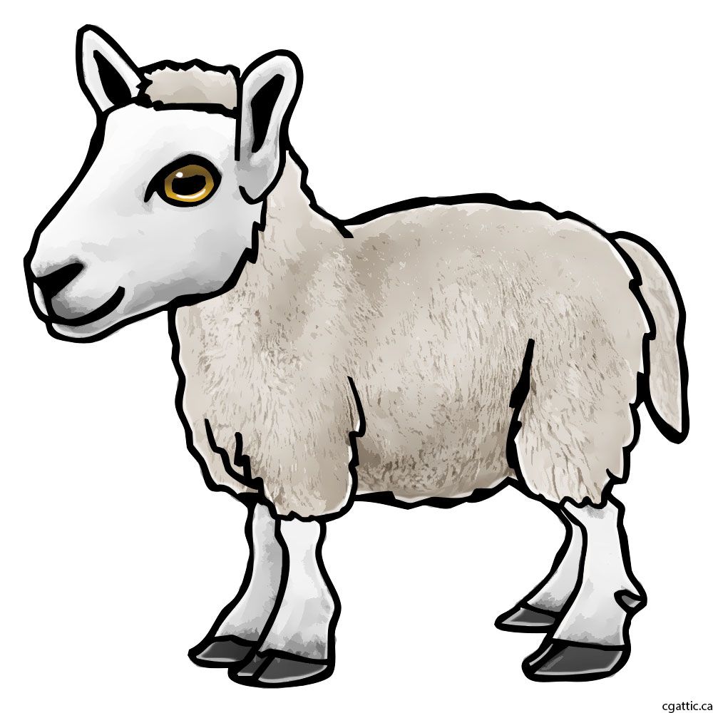 Sheep Cartoon Drawing at GetDrawings Free download