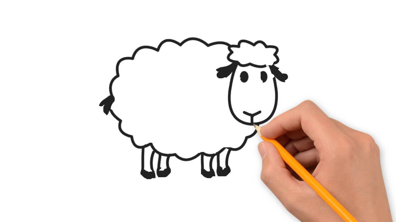 Sheep Cartoon Drawing at GetDrawings | Free download