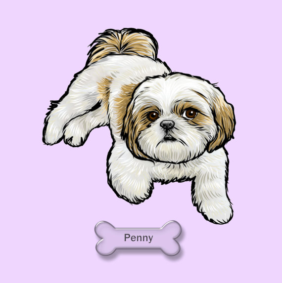 Shih Tzu Drawing at GetDrawings | Free download