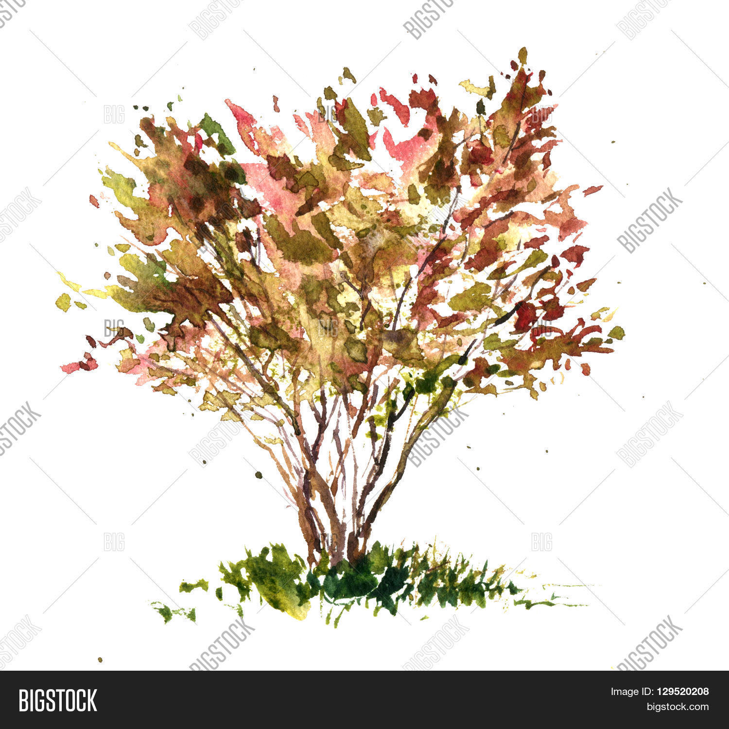 Shrub Drawing at GetDrawings | Free download