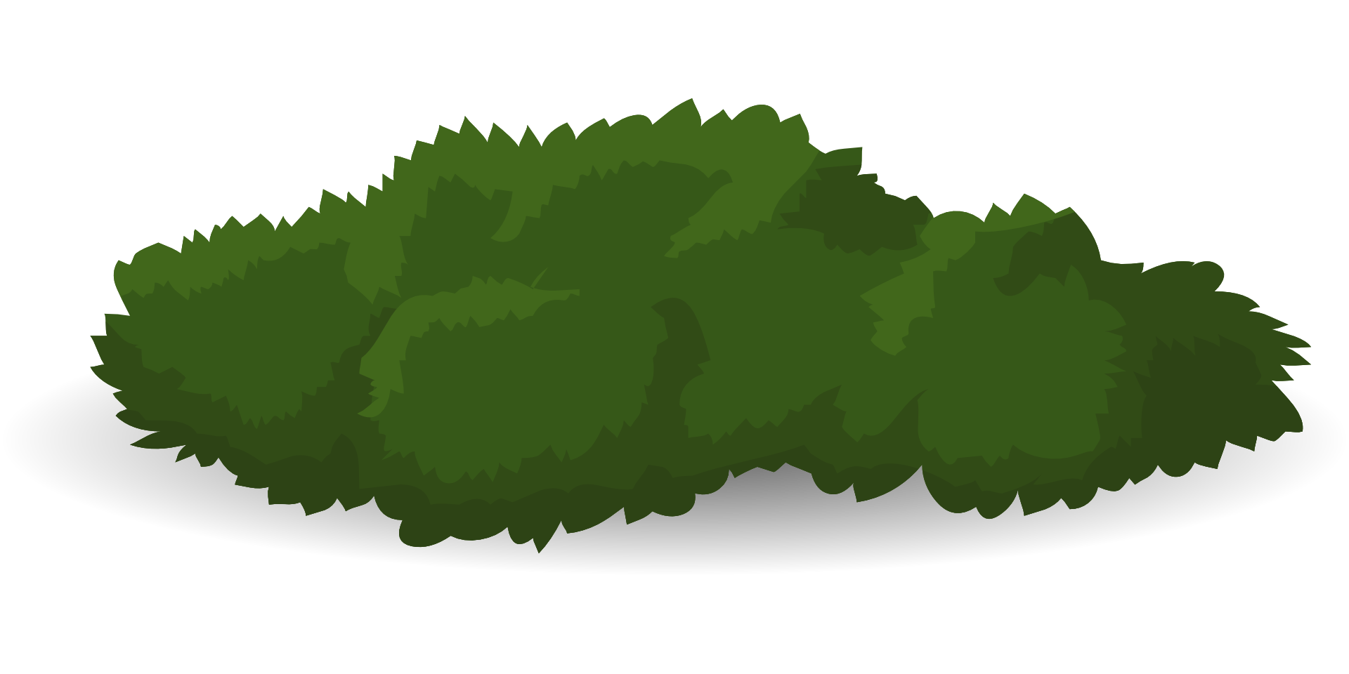 Shrub Drawing at GetDrawings Free download