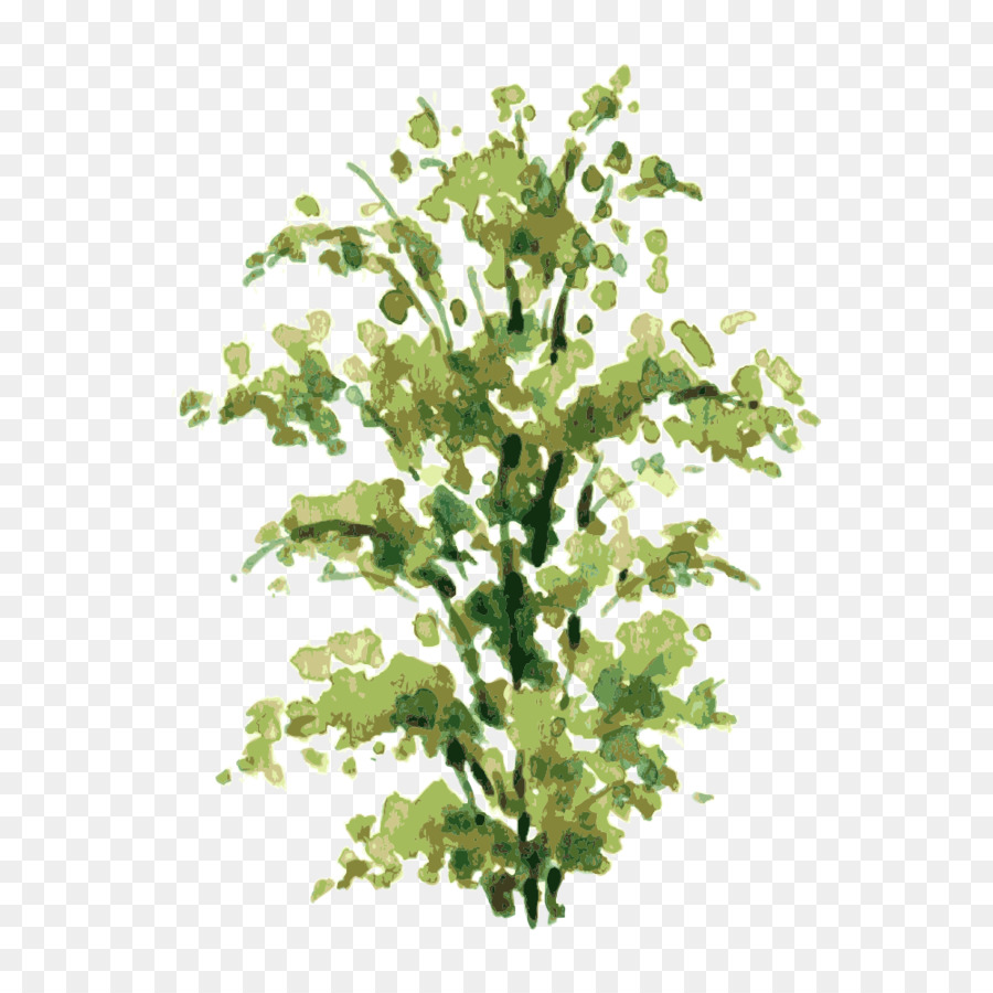 Shrub Drawing at GetDrawings | Free download