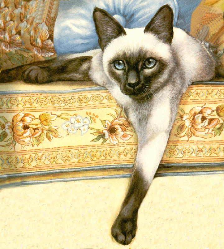 Siamese Cat Drawing at GetDrawings | Free download