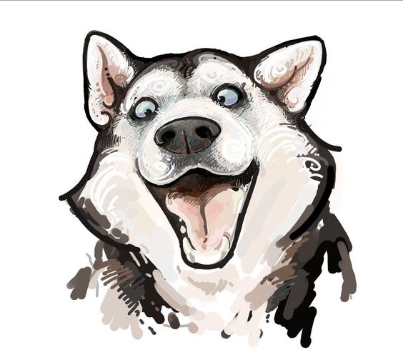 Siberian Husky Drawing at GetDrawings | Free download