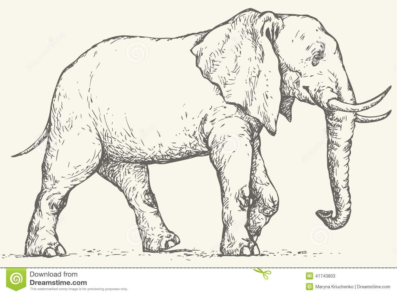 Side View Of Elephant Drawing at GetDrawings Free download