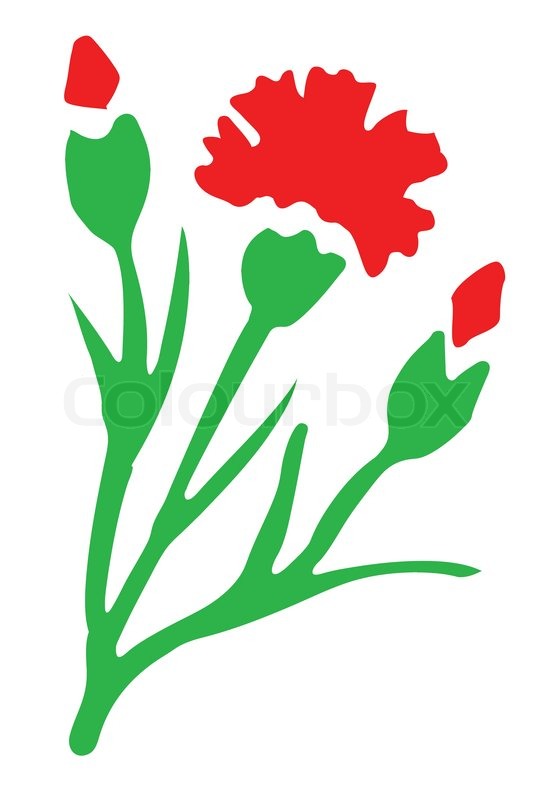 Simple Carnation Drawing at GetDrawings | Free download