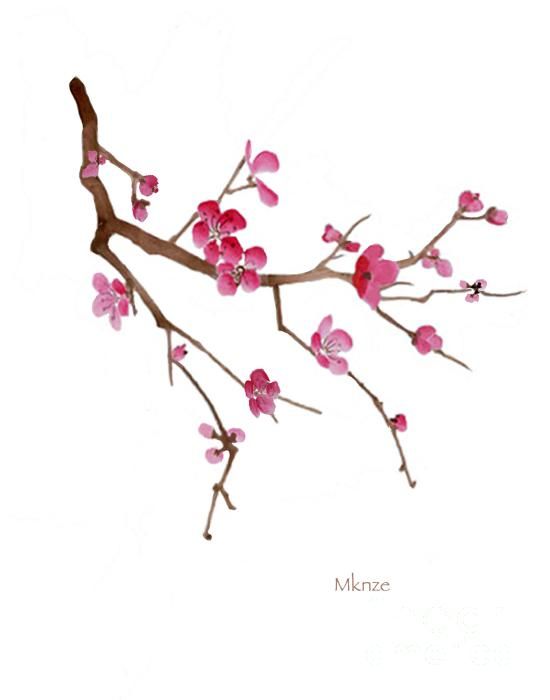 Japanese Cherry Blossom Drawing Simple - Traditional Chinese Drawing