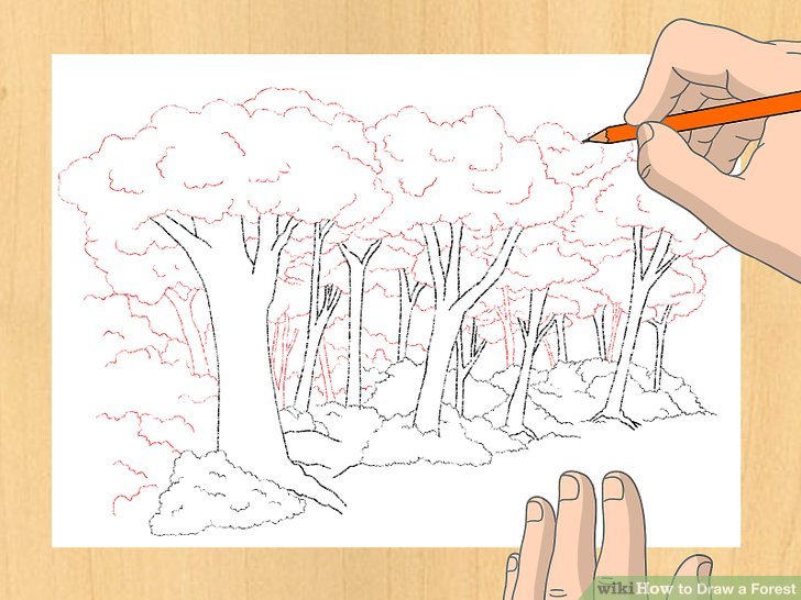 Simple Forest Drawing at GetDrawings | Free download