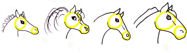 Simple Horse Head Drawing at GetDrawings | Free download