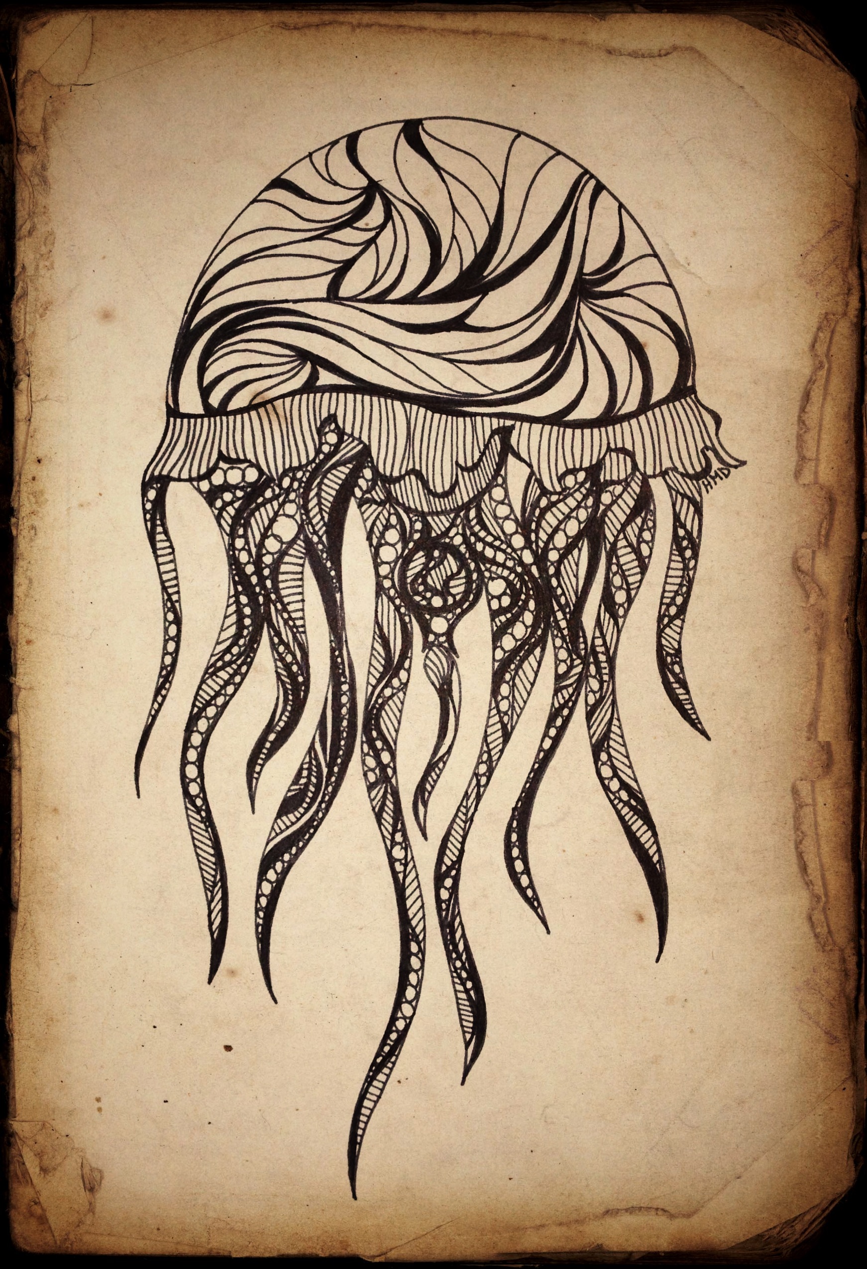 Simple Jellyfish Drawing at GetDrawings Free download