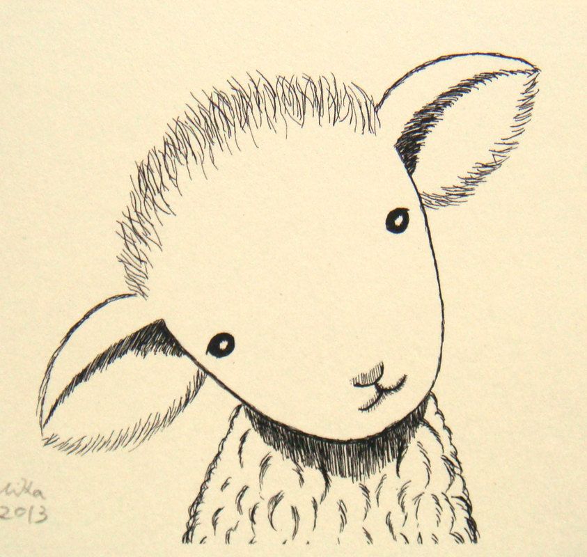 Simple Lamb Drawing at GetDrawings Free download