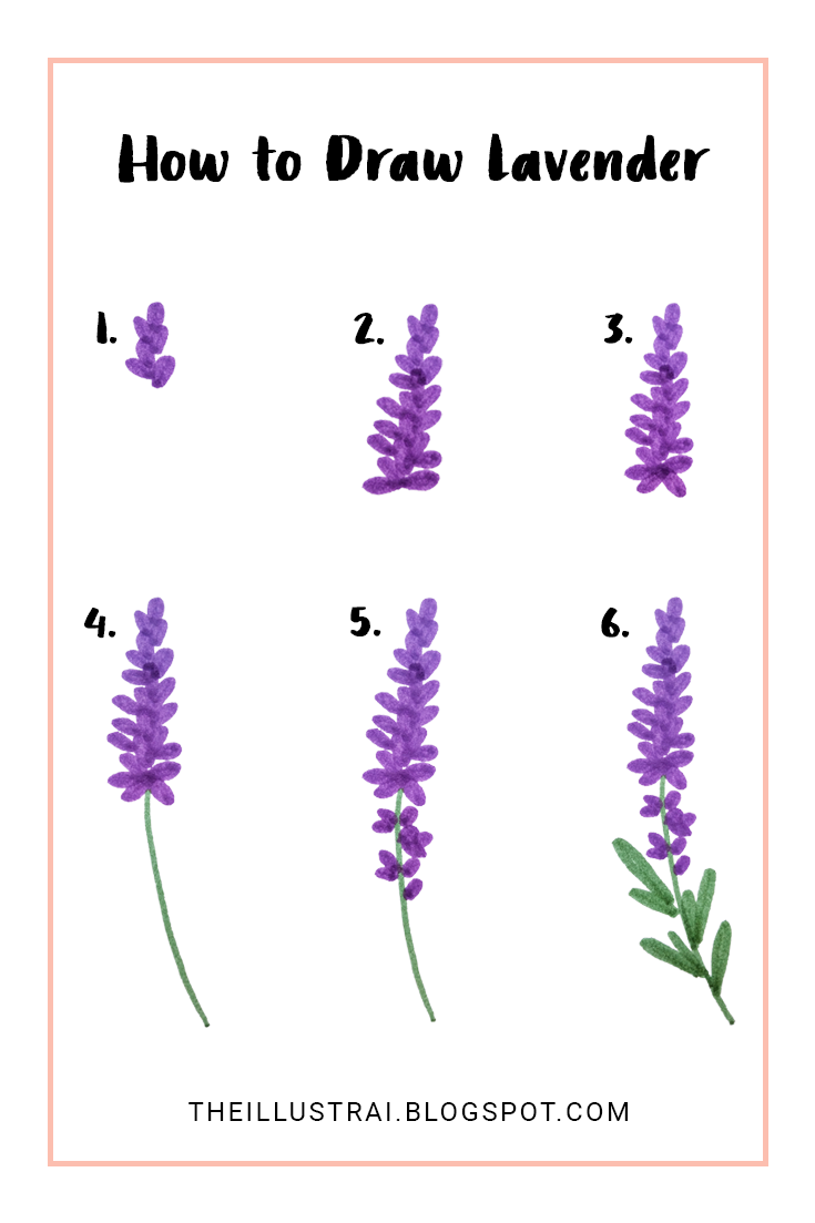 Simple Lavender Drawing at GetDrawings Free download