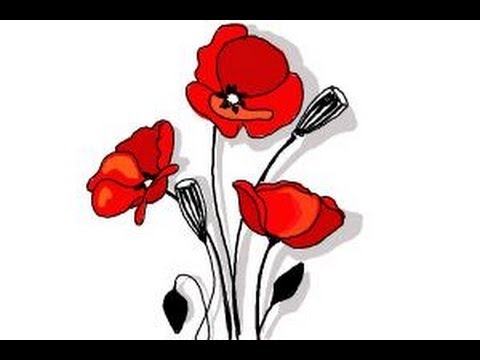 Simple Poppy Drawing at GetDrawings | Free download