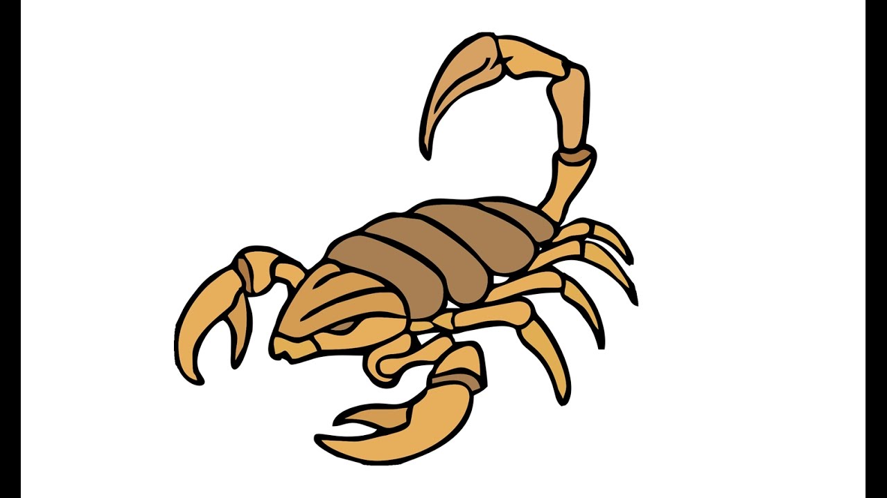 Simple Scorpion Drawing at GetDrawings | Free download