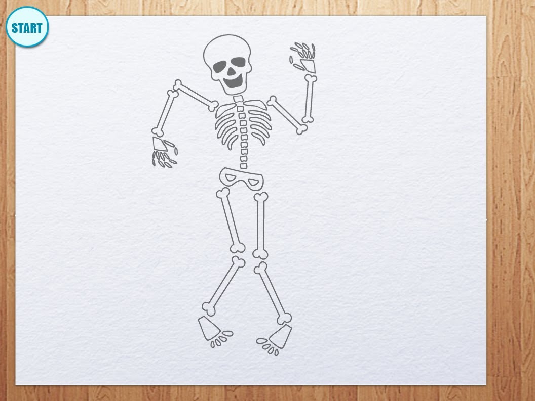 human skeleton easy drawing