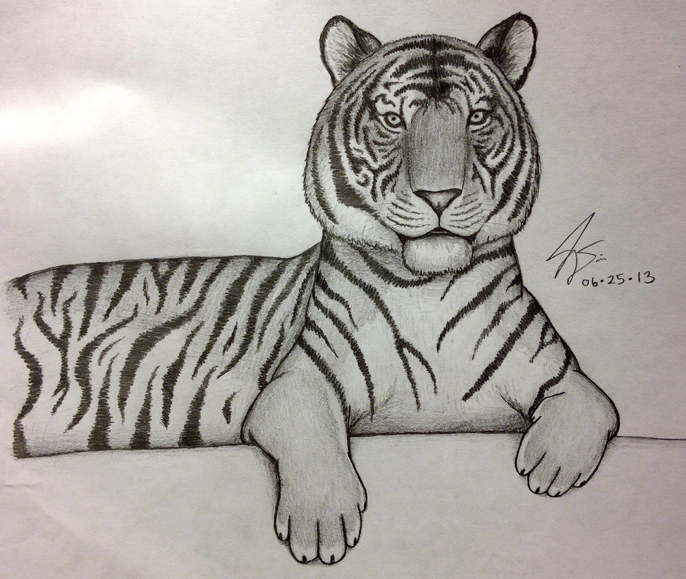 Simple Tiger Face Drawing at GetDrawings Free download