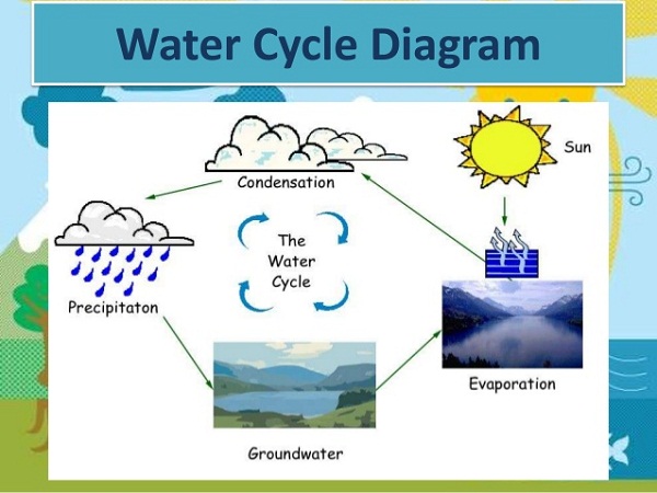 Simple Water Cycle Drawing at GetDrawings | Free download