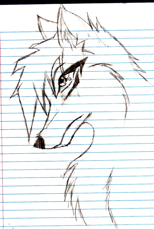 Simple Wolf Drawing At GetDrawings | Free Download