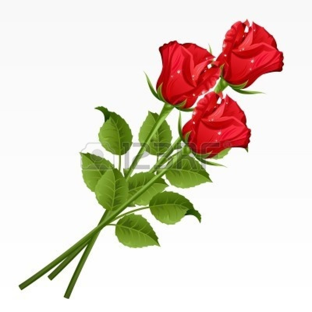 Single Red Rose Drawing at GetDrawings Free download