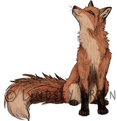 Sitting Fox Drawing at GetDrawings | Free download