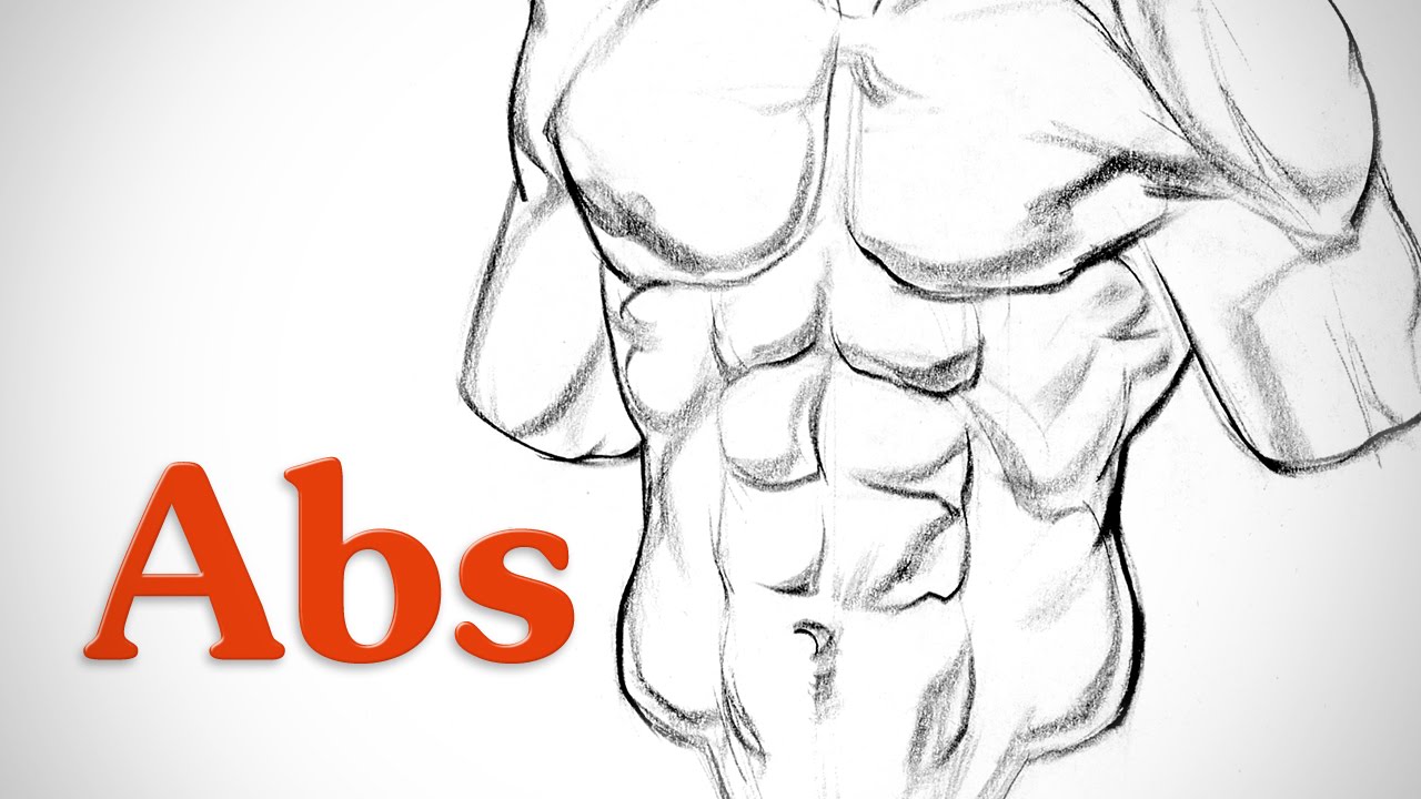 Six Pack Abs Drawing At Getdrawings Free Download 