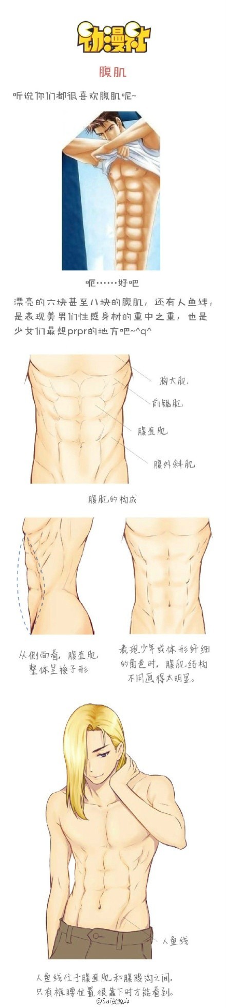 Six Pack Abs Drawing at GetDrawings | Free download