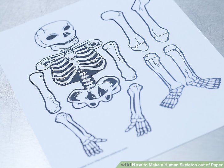 how to draw human skeleton step by step