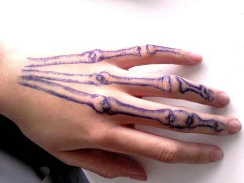 Skeleton Hand Drawing On Hand at GetDrawings | Free download