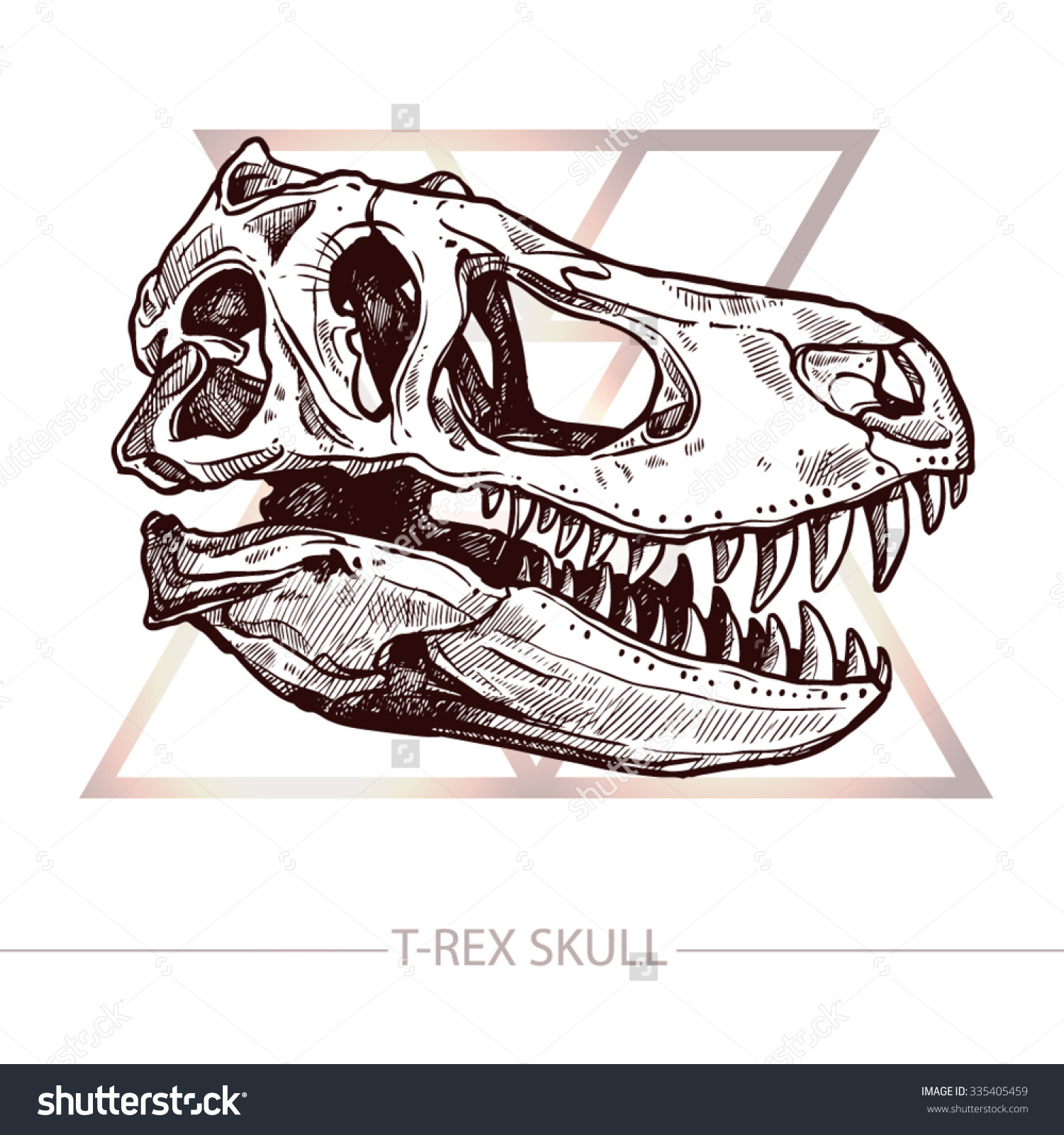 Skeleton Head Drawing at GetDrawings | Free download
