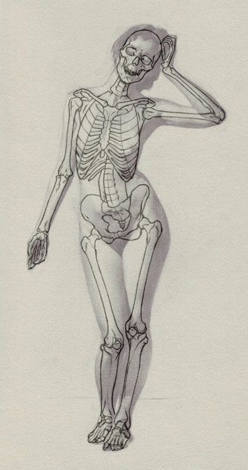 skeleton sketch drawings