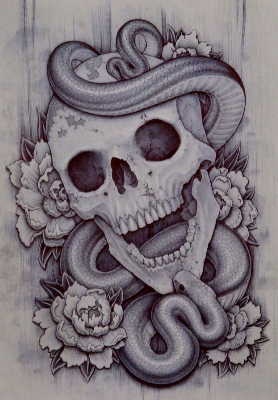 Skull Snake Drawing at GetDrawings Free download