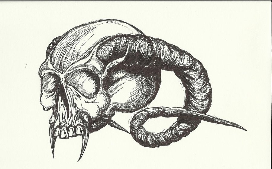 Skull With Horns Drawing at GetDrawings Free download