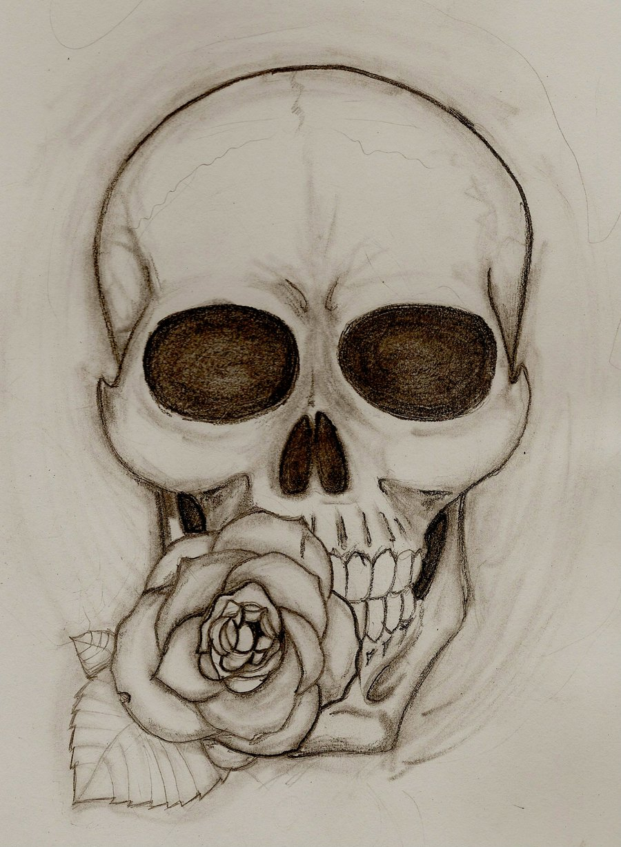 Skull With Roses Drawing at GetDrawings Free download