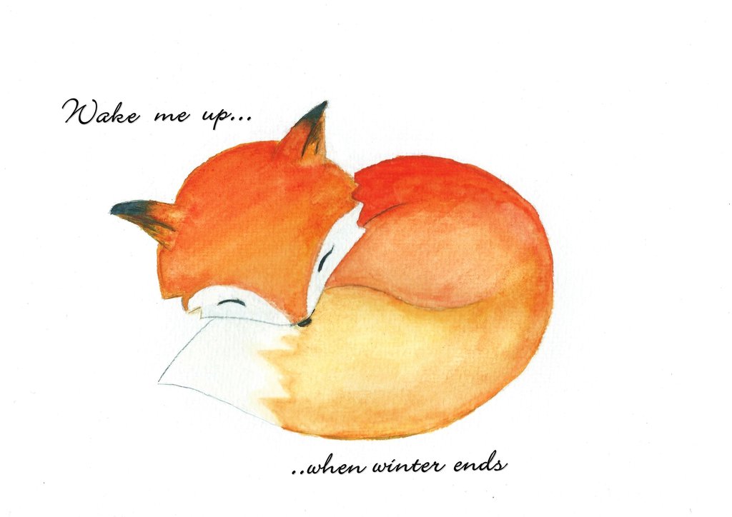 Sleeping Fox Drawing at GetDrawings | Free download