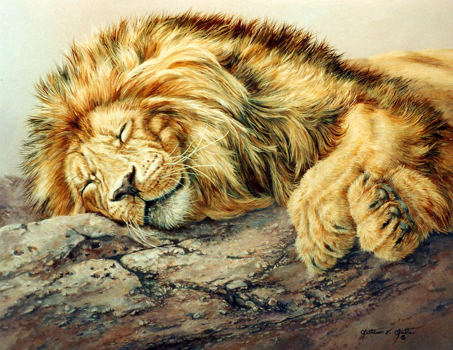 sleeping-lion-drawing-at-getdrawings-free-download