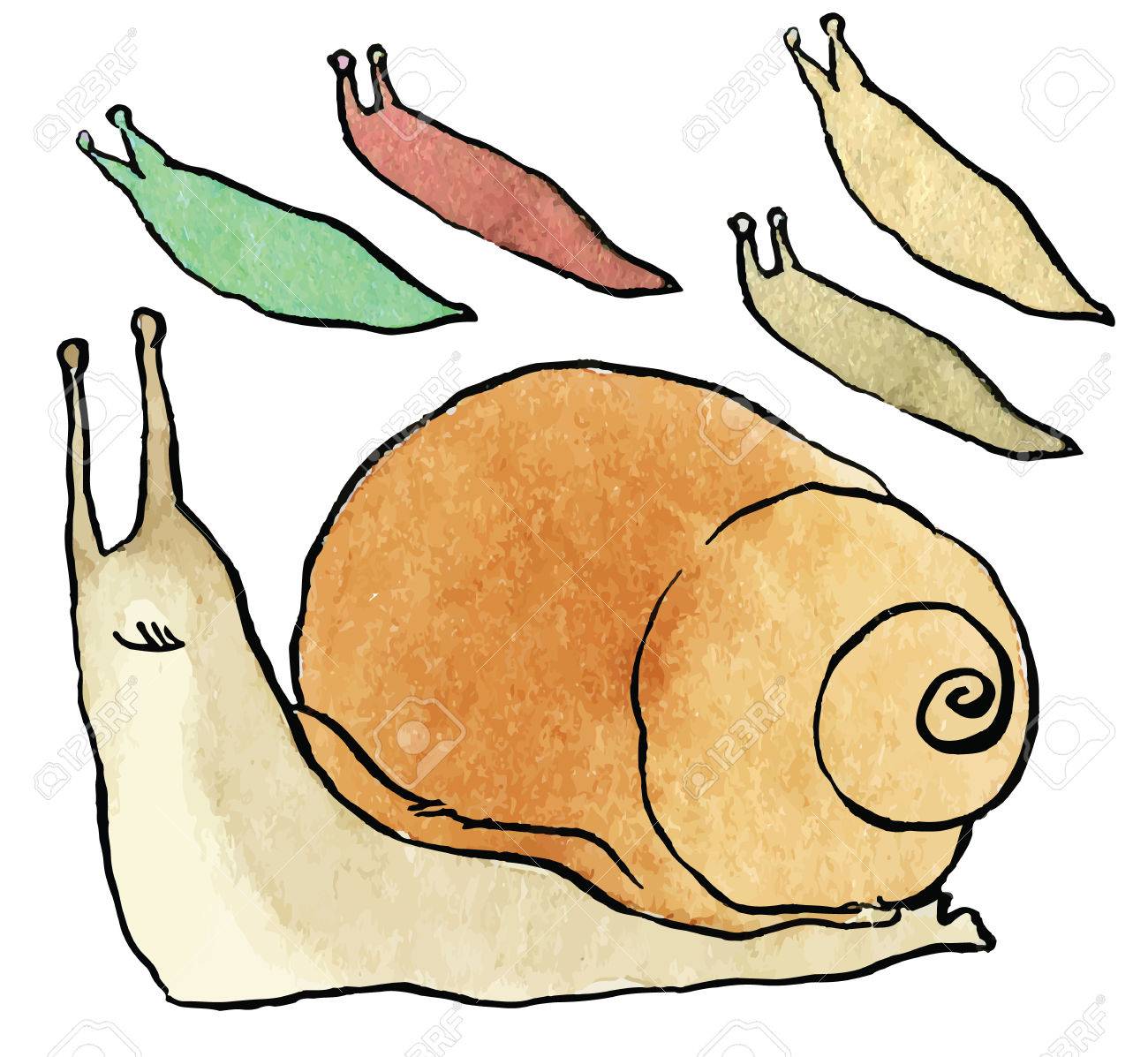 Slug Drawing at GetDrawings | Free download