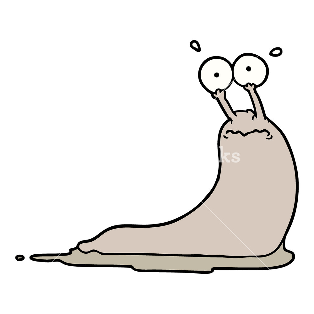 Slug Drawing at GetDrawings | Free download