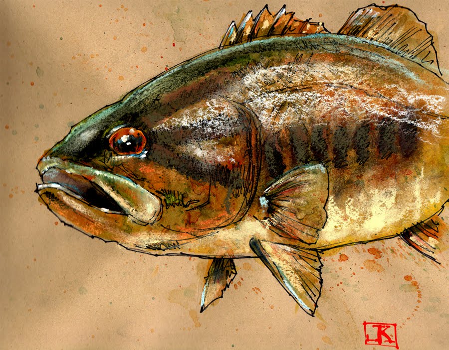 Smallmouth Bass Drawing At Getdrawings Free Download