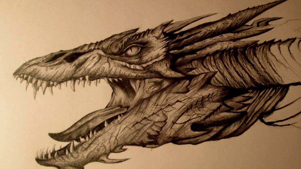 Top How To Draw A Epic Dragon of the decade Check it out now 